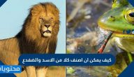 كيف يمكن ان اصنف كلا من الاسد والضفدع