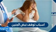 اسباب توقف نبض الجنين .. وموعد نبض الجنين وأسباب تأخّره