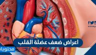 اعراض ضعف عضلة القلب .. والعلامات التحذيرية وأسباب الإصابة بها