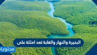 البحيرة والانهار والغابة تعد امثلة على … الأنظمة البيئية