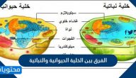 الفرق بين الخلية الحيوانية والنباتية