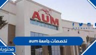تخصصات جامعة aum .. التخصصات في جامعة الشرق الأوسط الأمريكية