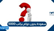 سعودة بدون دوام براتب 5000
