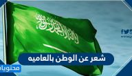 شعر عن الوطن بالعاميه .. واجمل ابيات شعر عن الوطن
