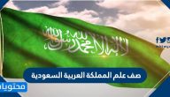 صف علم المملكة العربية السعودية .. دلالة علم السعودية