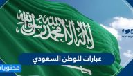 عبارات للوطن السعودي .. عبارات وطنية سعودية