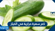 كم سعرة حرارية في الخيار .. تعرف على فوائد الخيار بالتفصيل