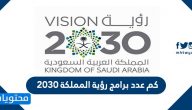 كم عدد برامج رؤية المملكة 2030 … أهداف رؤية المملكة 2030