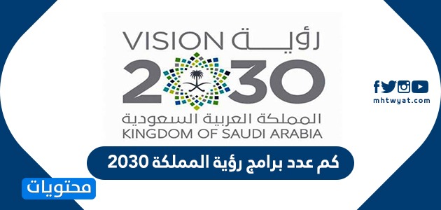 برامج تحقيق رؤية ٢٠٣٠ هي برامج مصممة لتحقيق تطلعات رؤية المملكة ٢٠٣٠