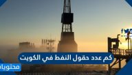 كم عدد حقول النفط في الكويت .. تاريخ النفط في الكويت