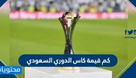 كم قيمة الكأس الدوري السعودي ؟ ومتى يبدأ الموسم الجديد 2020-2021