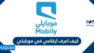 كيف اعرف ارقامي في موبايلي