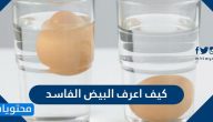 كيف اعرف البيض الفاسد