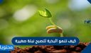 كيف تنمو البذرة لتصبح نبتة صغيرة