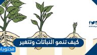 كيف تنمو النباتات وتتغير