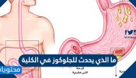 ما الذي يحدث للجلوكوز في الكلية
