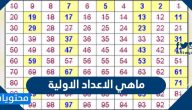 ما هي الأعداد الأولية وكيفية تحديد العدد الأولي