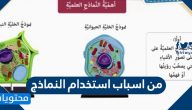 من اسباب استخدام النماذج وأنواعها المستخدمة في التدريس