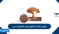 يتكون الجدار الخلوي في الفطريات من