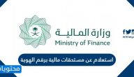 استعلام عن مستحقات مالية برقم الهوية 1447 .. رابط الاستعلام عن المستحقات المالية 