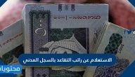 الاستعلام عن راتب التقاعد بالسجل المدني