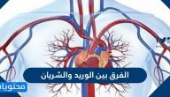 الفرق بين الوريد والشريان