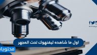 اول ما شاهده ليفنهوك تحت المجهر