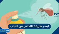 ايسر طريقة للتخلص من الذباب
