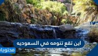 اين تقع تنومه في السعوديه .. كم تبعد تنومه عن النماص