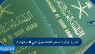 تجديد جواز السفر للمقيمين في السعودية .. تحديث بيانات جواز السفر للمقيمين