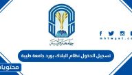 تسجيل الدخول نظام البلاك بورد جامعة طيبة .. رابط بلاك بورد جامعة طيبة
