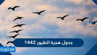 جدول هجرة الطيور 1442 في المملكة العربية السعودية