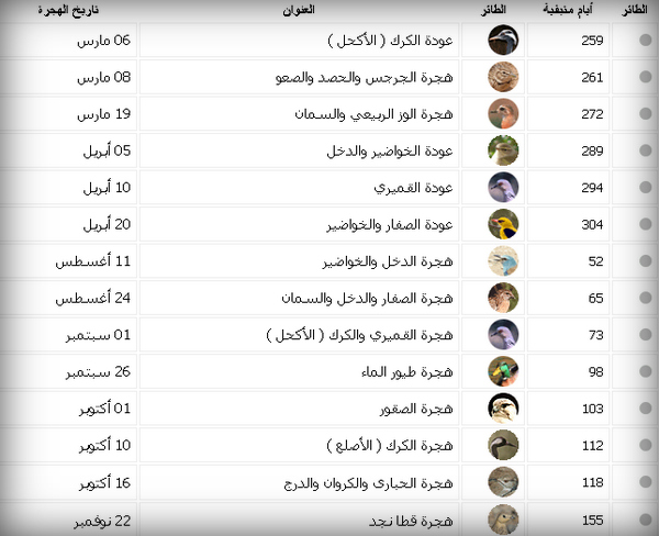 جدول هجرة الطيور 1442 في المملكة العربية السعودية