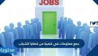 جمع معلومات في قضية من قضايا الشباب .. التعامل مع قضايا الشباب
