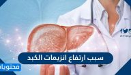سبب ارتفاع انزيمات الكبد .. الامراض التي تصيب الكبد بالتشحم والتضخم