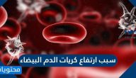 سبب ارتفاع كريات الدم البيضاء .. ماذا تعني زيادة كريات الدم البيضاء