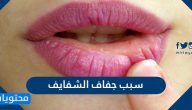 سبب جفاف الشفايف … نصائح لمنع جفاف الشفاه وعلاجها