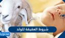 شروط العقيقة للولد .. كيفية توزيع عقيقة المولود