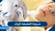 شروط العقيقة للولد .. كيفية توزيع عقيقة المولود