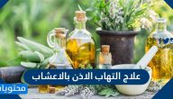 علاج التهاب الاذن بالاعشاب … هل هو حقيقة أم خرافة