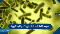 فيم تتشابه الفطريات والبكتيريا