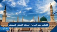 كلمات وعبارات عن المولد النبوي الشريف وأجمل رسائل التهنئة بذكرى مولده