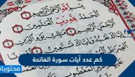 كم عدد آيات سورة الفاتحة والتعريف بسور الفاتحة من حيث عدد آياتها