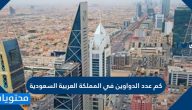 كم عدد الدواوين في المملكة العربية السعودية