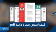 كيف اسوي سيرة ذاتية pdf .. كيفية كتابة السيرة الذاتية pdf
