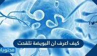كيف اعرف ان البويضة تلقحت .. علامات فشل تلقيح البويضة