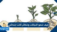 كيف تنمو النباتات وتتكاثر ثالث ابتدائي
