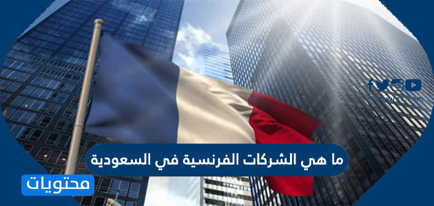 ما هي الشركات الفرنسية في السعودية