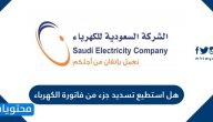 هل استطيع تسديد جزء من فاتورة الكهرباء