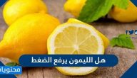 هل الليمون يرفع الضغط .. تأثير الليمون على أدوية الضغط